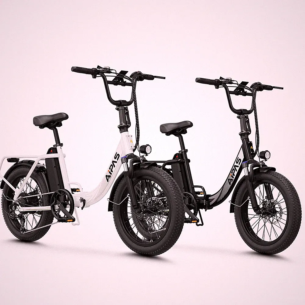 12.8Ah Folding Electric Bike 1000W 48V Adults City Commuter Portable